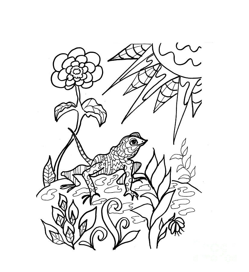 Lizard Ink Coloring Book Drawing by Robin Pedrero