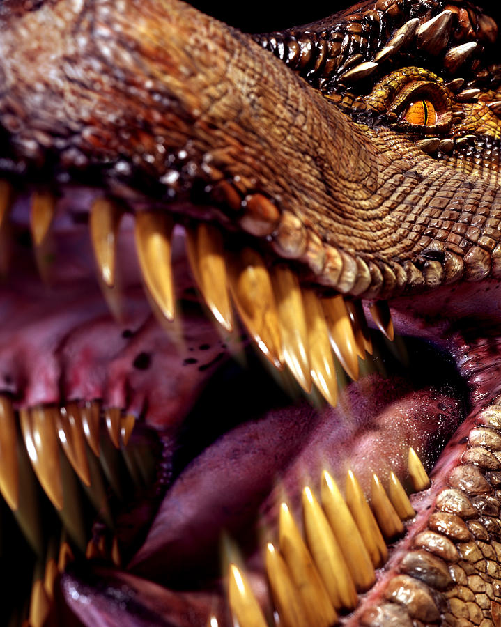 T Rex Photograph - Lizard King by Kelley King