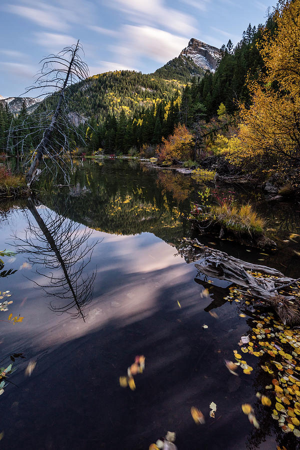 Lizard Lake Photograph by Jeff Stoddart Lizard Lake Photograph by Jeff Stoddart