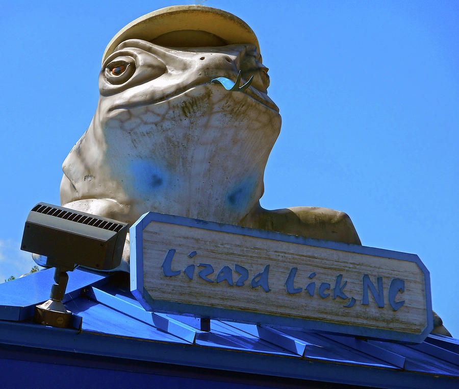 Lizard Lick ATM 2 Photograph by Ron Kandt