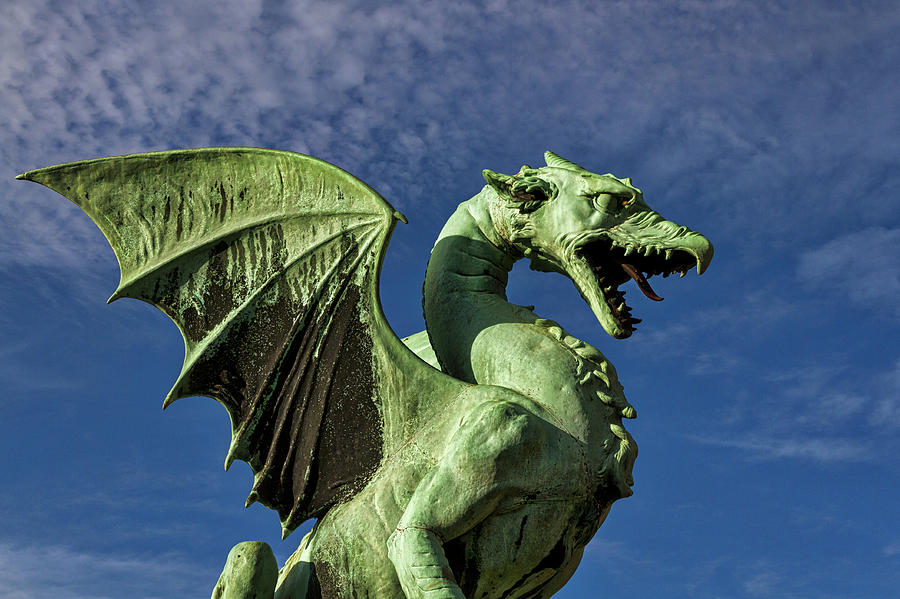 Ljubljana Dragon - Slovenia Photograph by Stuart Litoff