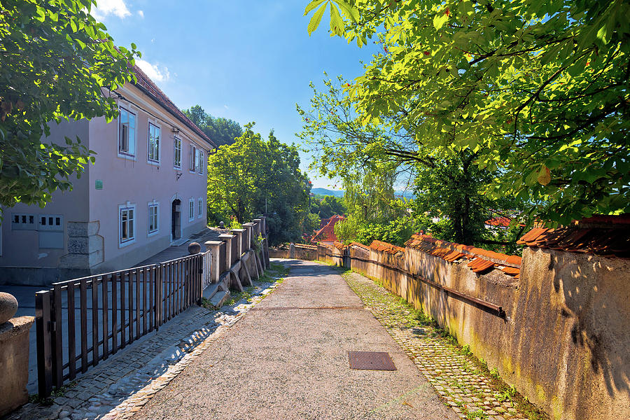 Ljubljana old city cobbled upper town walkway Photograph by Brch Photography