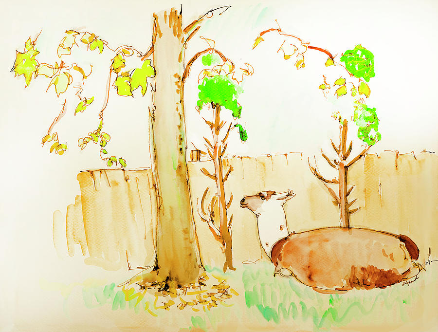 Tree Painting - Llama Cedar leaves Lunch by Rhonda Alexander