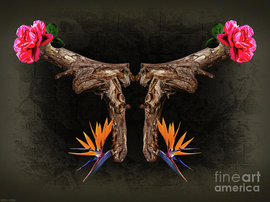 Loaded With Love - Fine Art Photography By Ronna A. Shoham Photograph