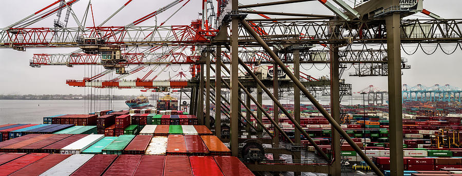 Loading Containership Photograph by M G Whittingham