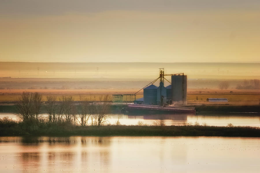 Loading Grain Photograph by Albert Seger