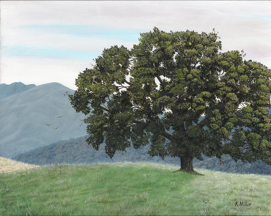 Lone Oak Painting by Kathie Miller