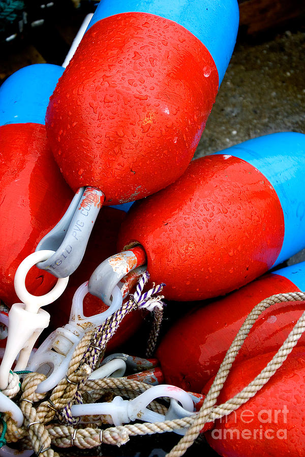 Lobster Traps Photograph - Lobser Buoys by Mark Braun