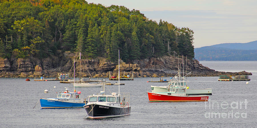 Acadia National Park Photograph - Lobster Boats in Bar Harbor by Jack Schultz