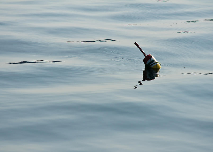 Lobster Buoy Photograph by Edward Myers