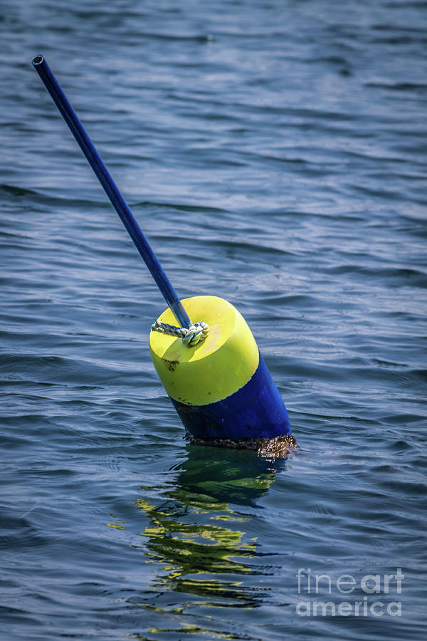 Lobster buoy floating Photograph by Claudia M Photography