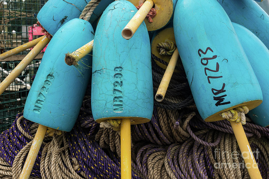 Lobster Buoys and Traps Photograph by Craig Shaknis