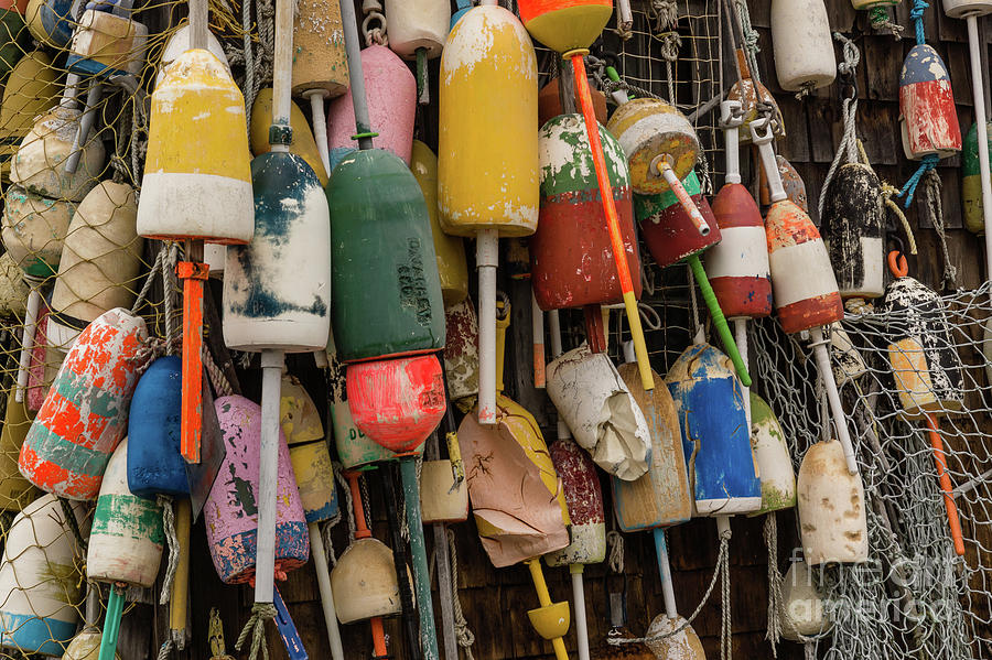 Lobster Buoys Photograph by Craig Shaknis