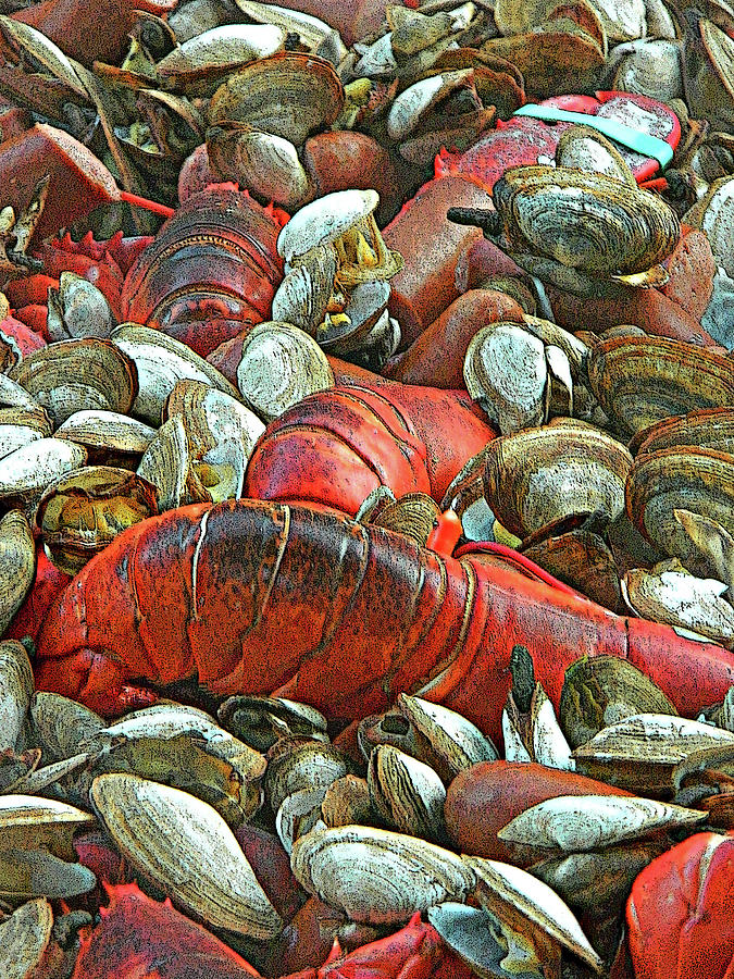 Lobster Clam Bake Connecticut Style1 Photograph by Emmy Vickers