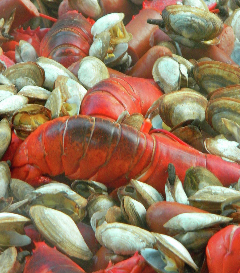 Lobster Clam Bake Connecticut Style2 Photograph