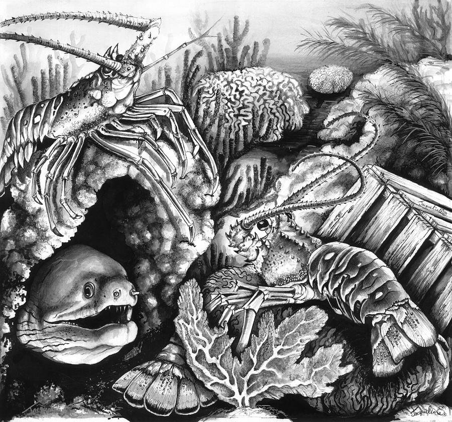Lobster Mixed Media - Lobster Collage by Jacqueline Endlich Lobster Mixed Media - Lobster Collage by Jacqueline Endlich