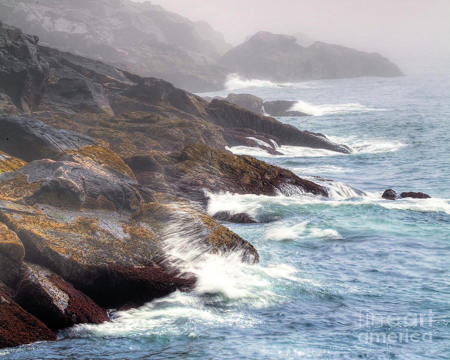 Lobster Cove Photograph by Tom Cameron