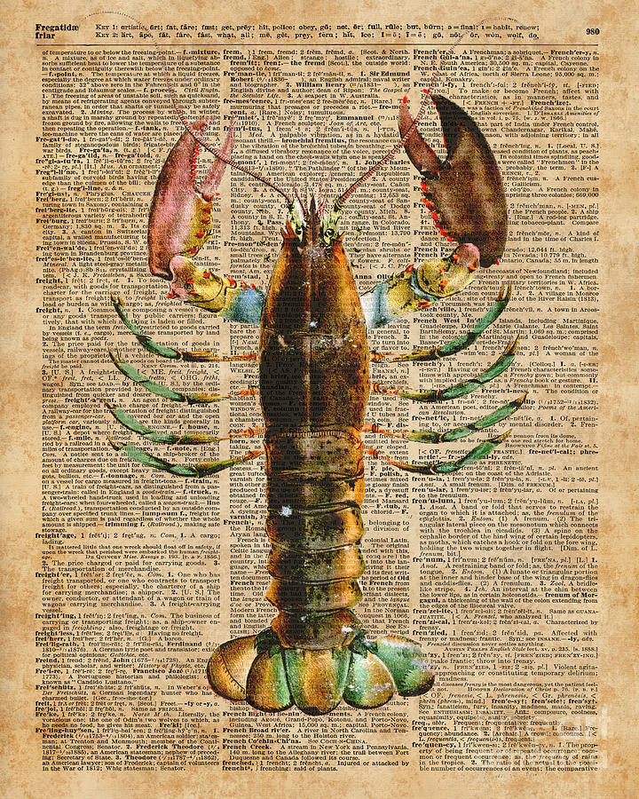 Vintage Digital Art - Lobster Crustacean Mediterranean Sealife Vintage Dictionary Art Collage by Anna W