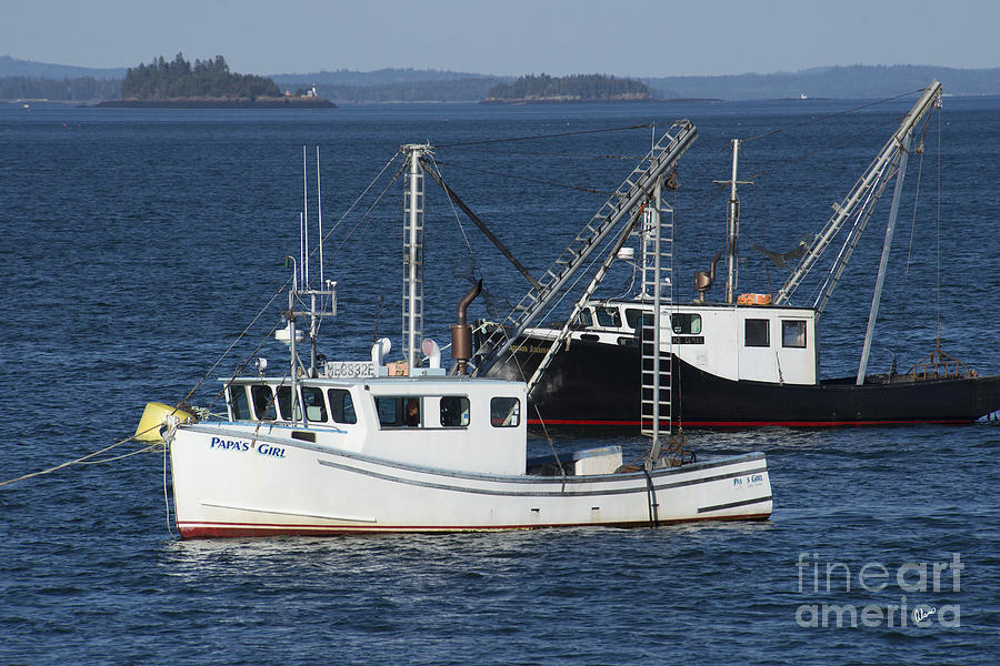 Lobster Fishing Boats Photograph by Alana Ranney