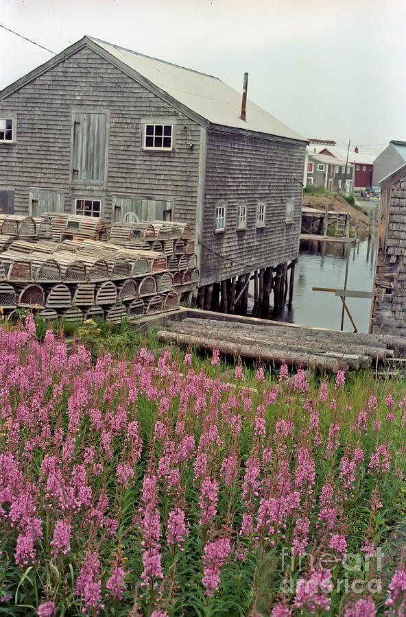 Lobster House Grand Manan Photograph by Thomas Marchessault