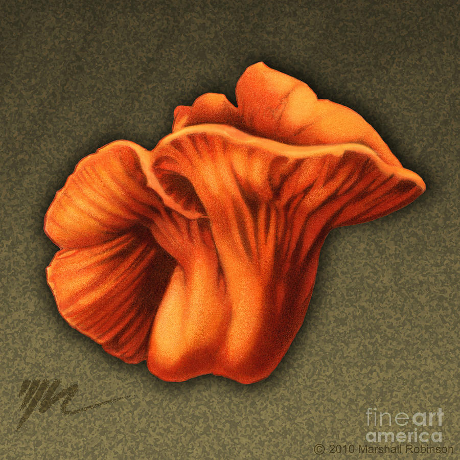 Mushroom Painting - Lobster Mushroom by Marshall Robinson