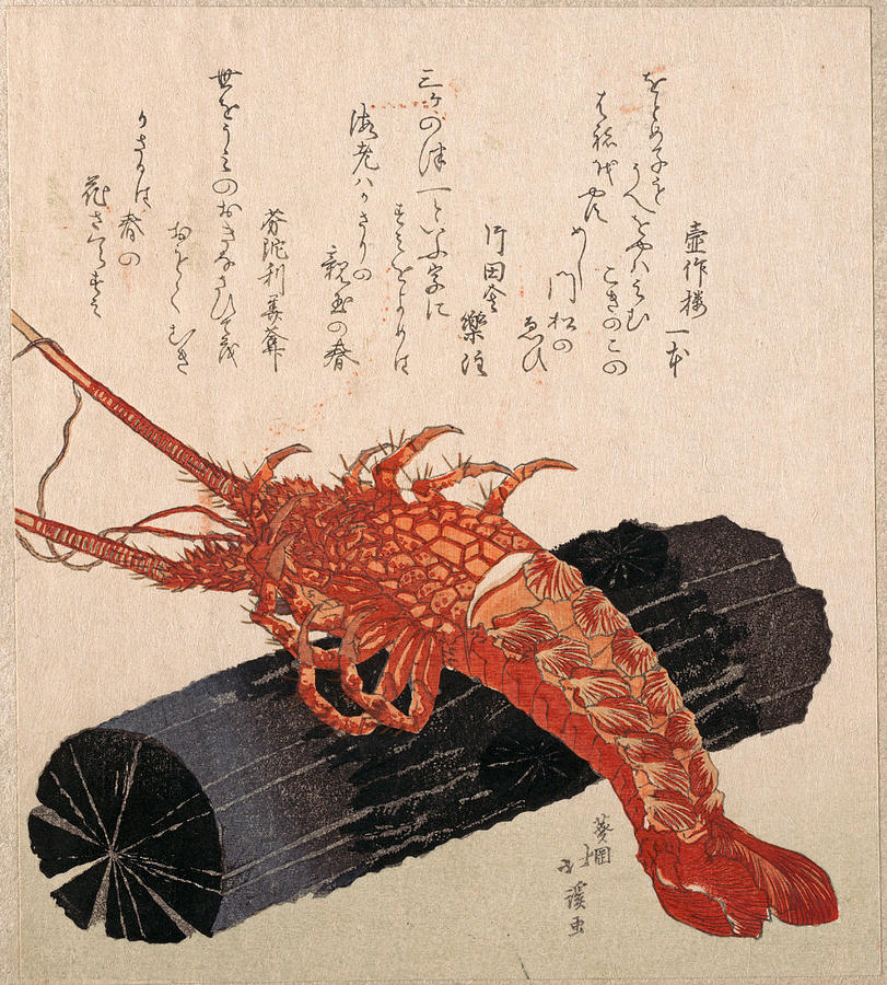 Totoya Hokkei Drawing - Lobster on a Piece of Charcoal by Totoya Hokkei