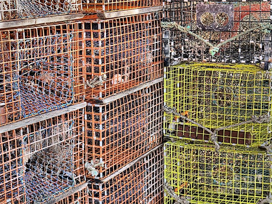 Lobster Pots Photograph by Janice Drew