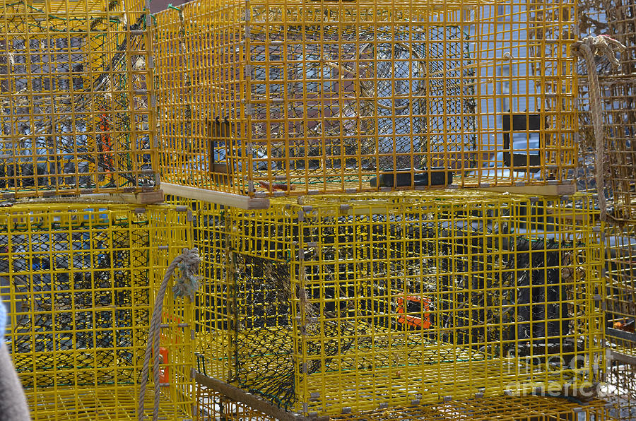 Lobster Pots - Portland, Maine Photograph by Jason Freedman