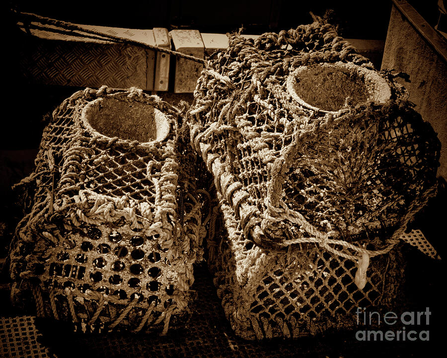 Lobster Pots  Photograph by Stephen Melia