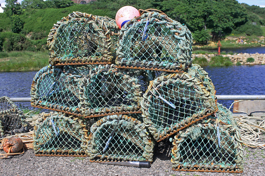 Lobster Pots Photograph by Tony Murtagh