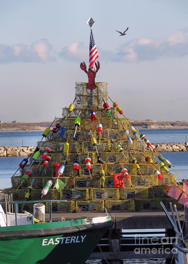 Lobster Pots Tree 2016 Photograph by Janice Drew