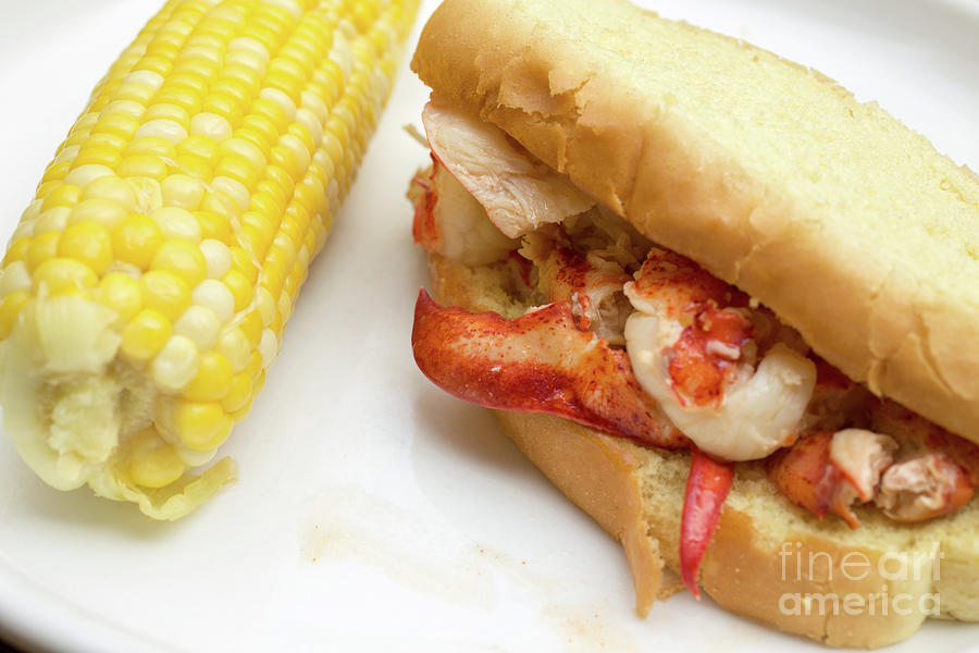 Lobster Roll and Corn on the Cob Photograph by Edward Fielding