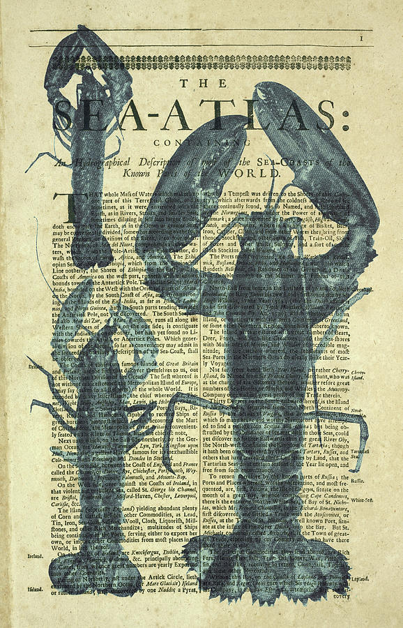 Vintage Photograph - Lobster Sea Atlas by Erin Cadigan