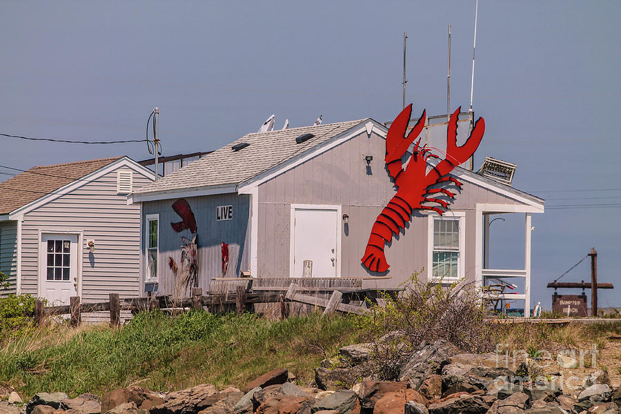 Lobster shack Photograph by Claudia M Photography