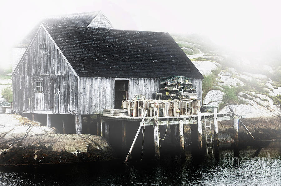 Lobster Shack in Fog  Photograph by Elaine Manley