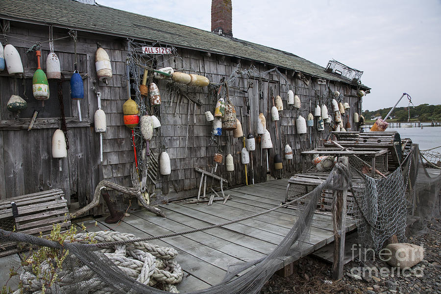 Lobster Photograph - Lobster Shack by Timothy Johnson