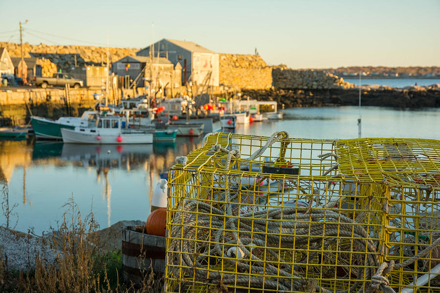Lobster Trap at Pigeon Cove, Rockport, Ma Photograph by Nicole Freedman