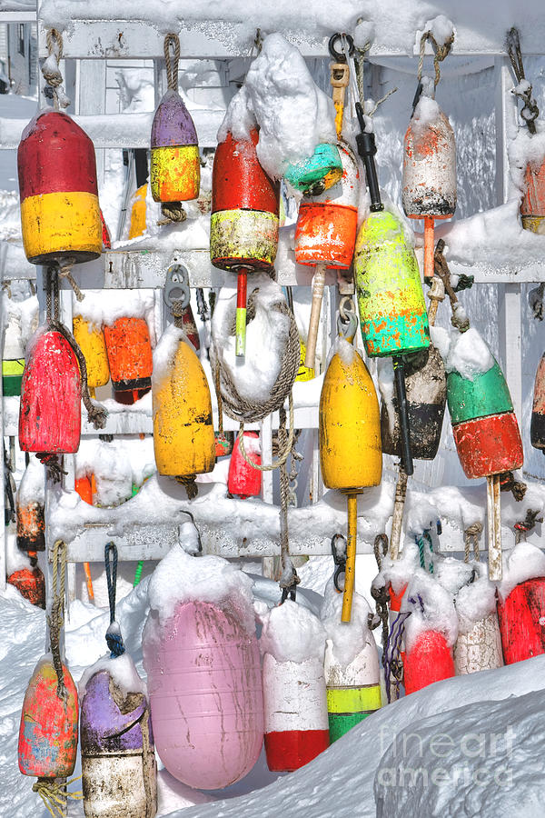 Lobster Trap Buoys Collection in Snow Photograph by Olivier Le Queinec