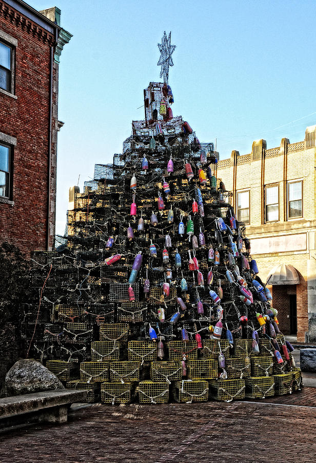 Lobster Trap Christmas Tree Photograph by Mike Martin