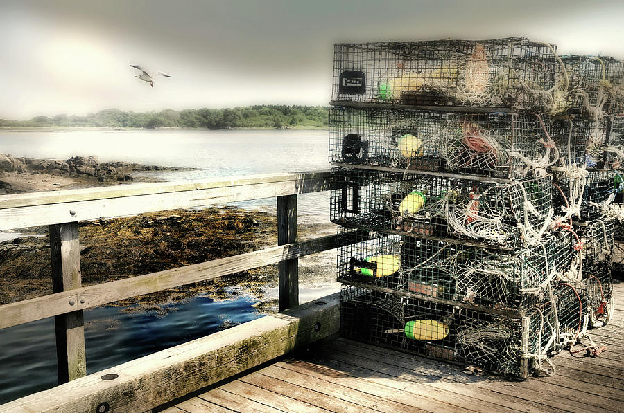 Lobster Traps Photograph by Diana Angstadt