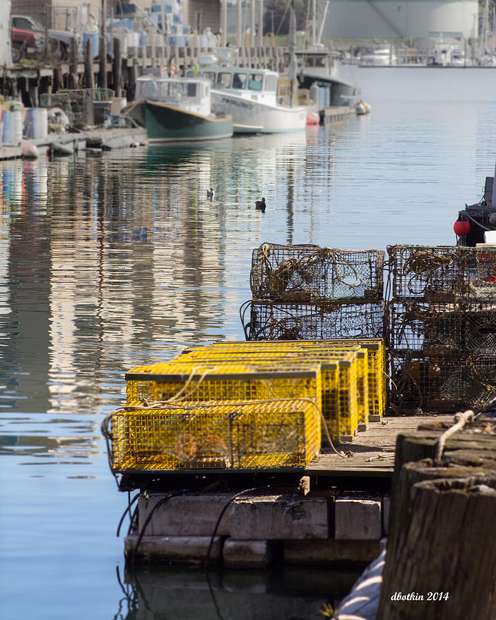 Lobster Traps Photograph by Dick Botkin