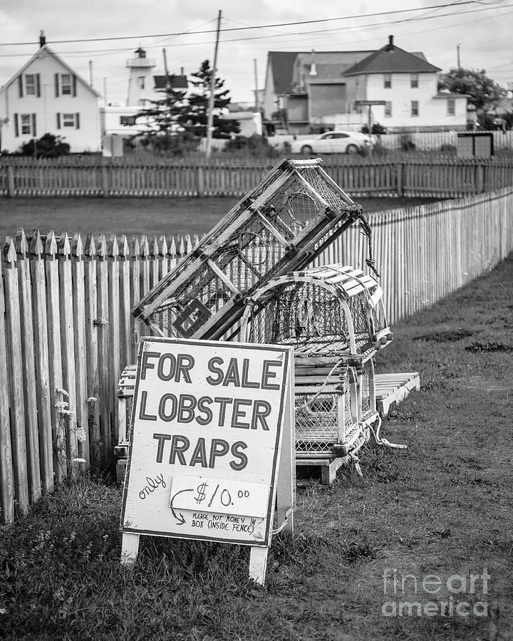 Lobster Traps for Sale Photograph by Edward Fielding