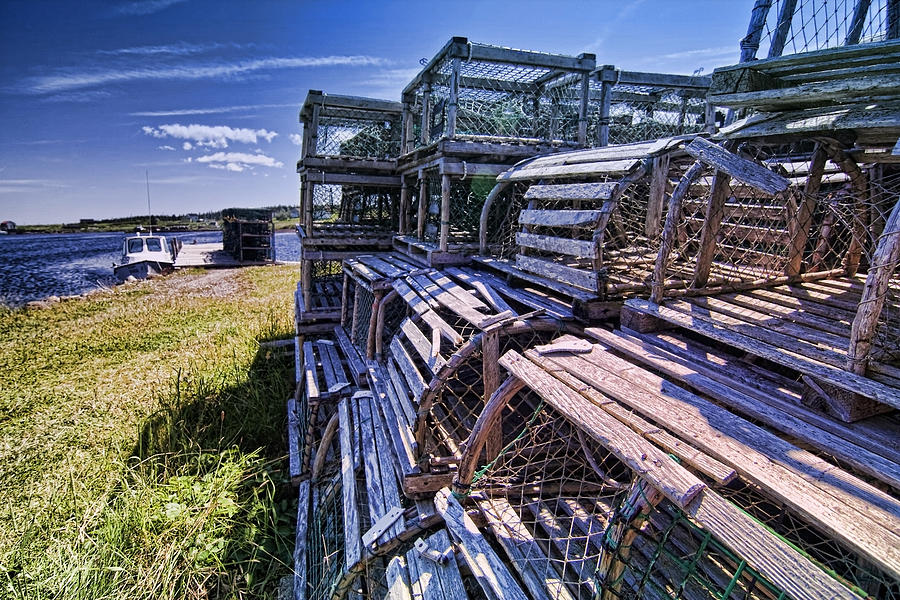 Lobster traps in the sun Photograph by Sven Brogren