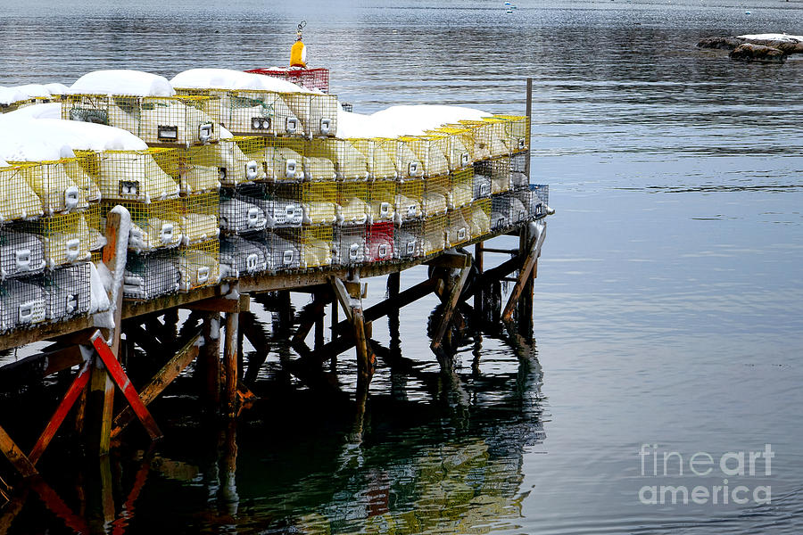 Winter Photograph - Lobster Traps in Winter by Olivier Le Queinec