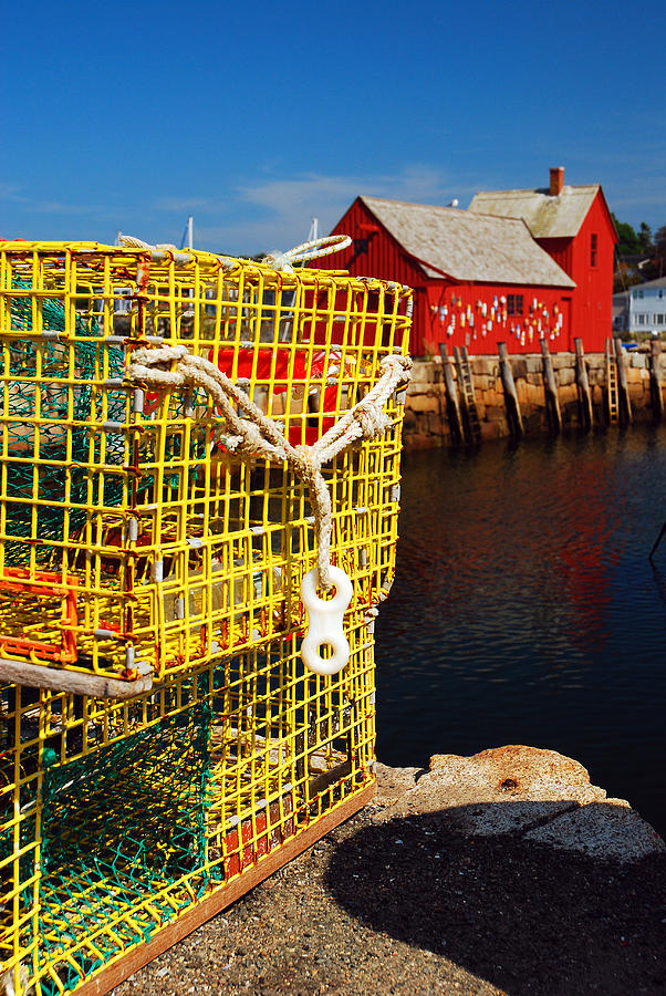 Lobster Traps  Photograph by James Kirkikis