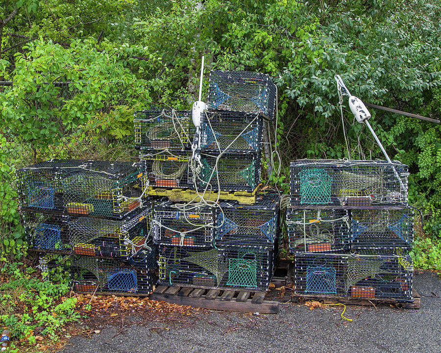Lobster Traps Photograph by Kevin Craft