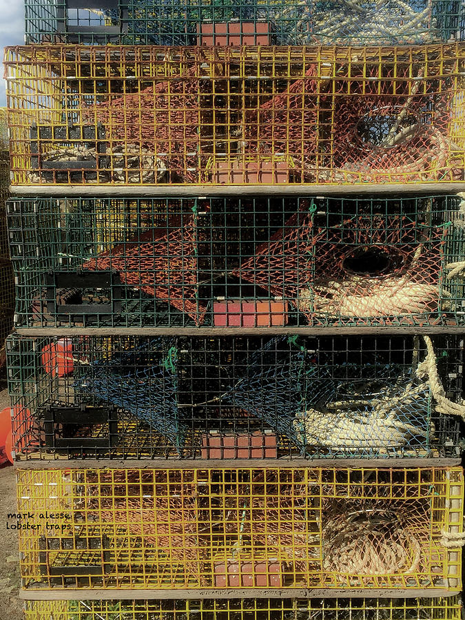 Lobster Traps Photograph by Mark Alesse