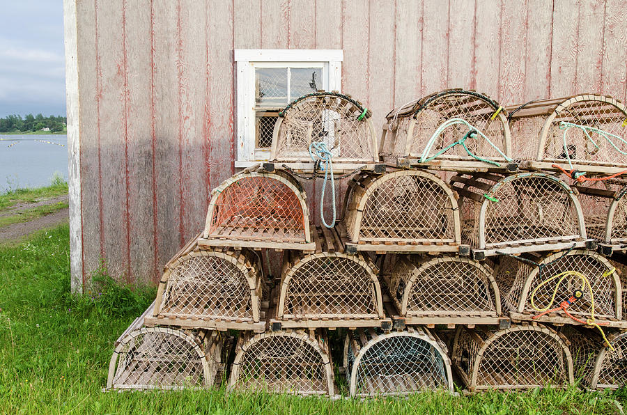 Lobster Traps, PEI Photograph by Rob Huntley