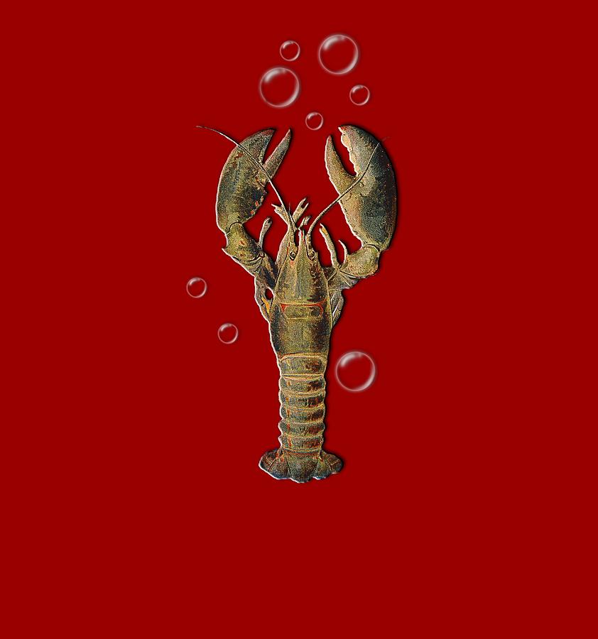 Lobster With Bubbles T Shirt Design Digital Art by Bellesouth Studio