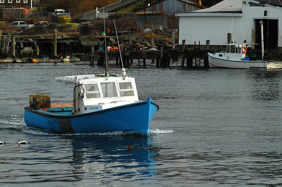 Lobsterman Returns Photograph by Mike Martin